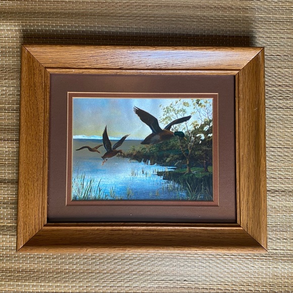 Two vintage Dufex prints of mallard ducks, by F. Osborne, framed - Picture 2 of 7